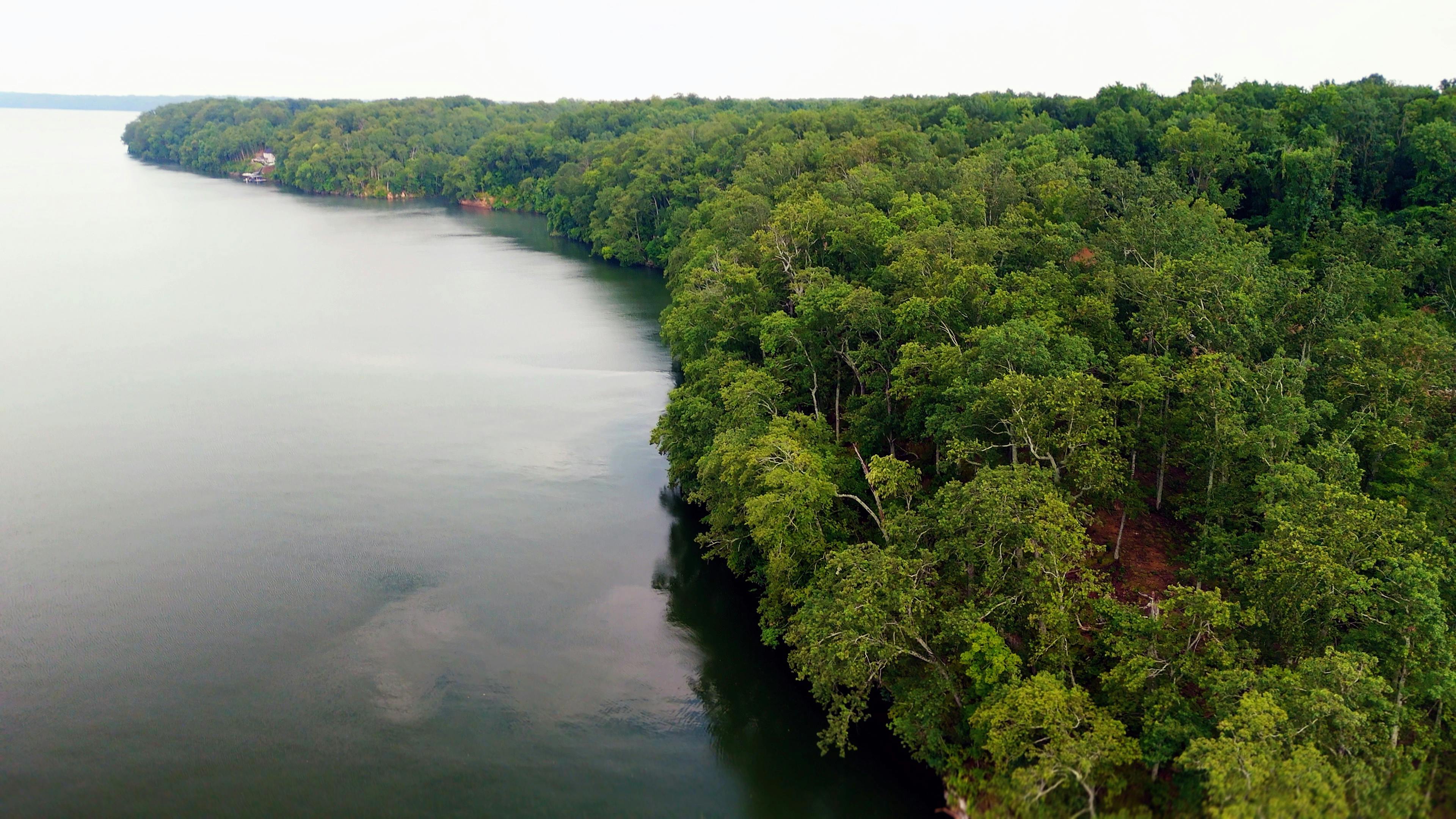 Gorgeous Marina with 80 Deeded & Covered Boat Slips at New Prime AL Community, Lake Ridge 