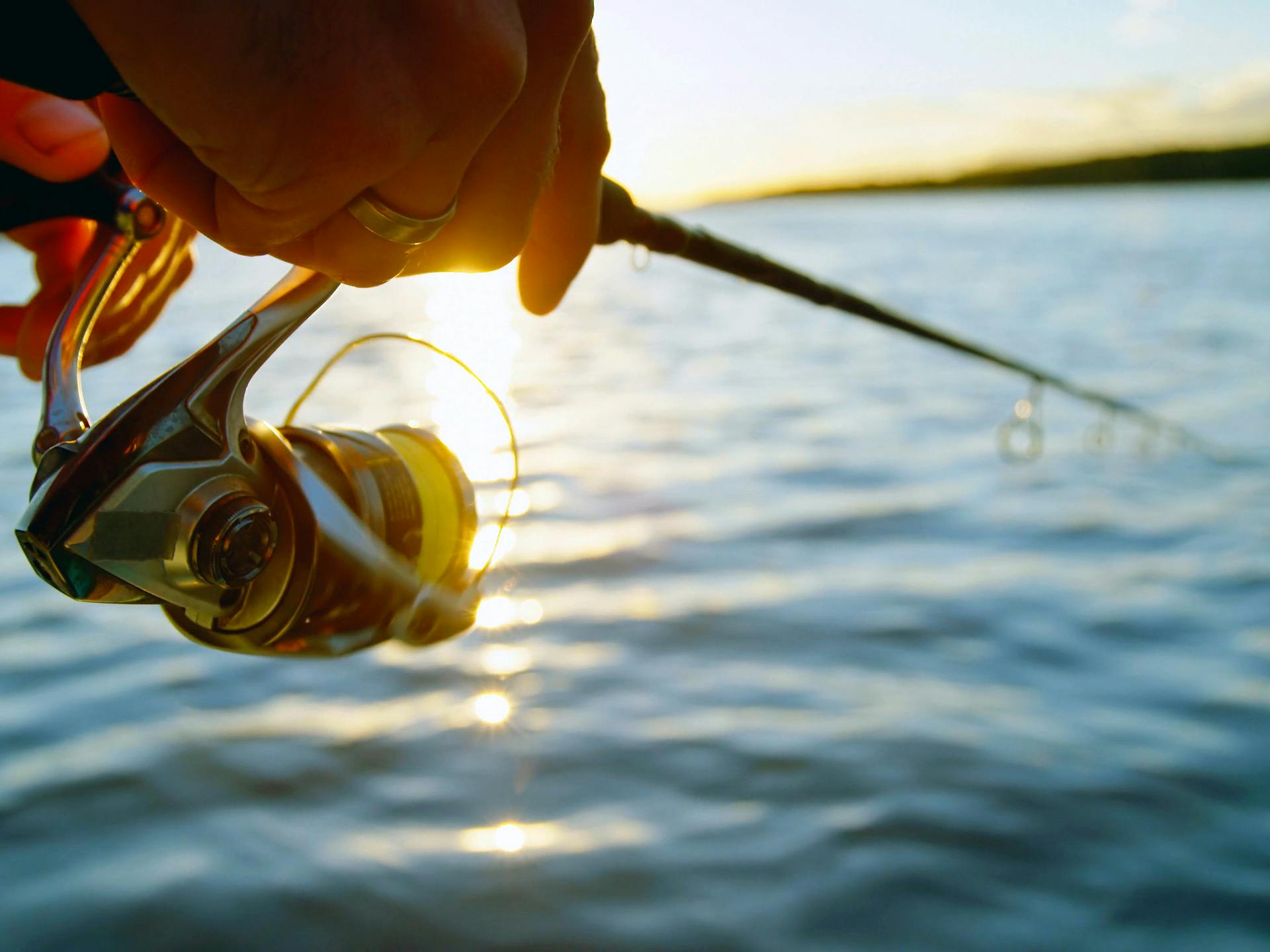Lake Ridge on Wilson Lake, Muscle Shoals, AL | ©American Land Holdings