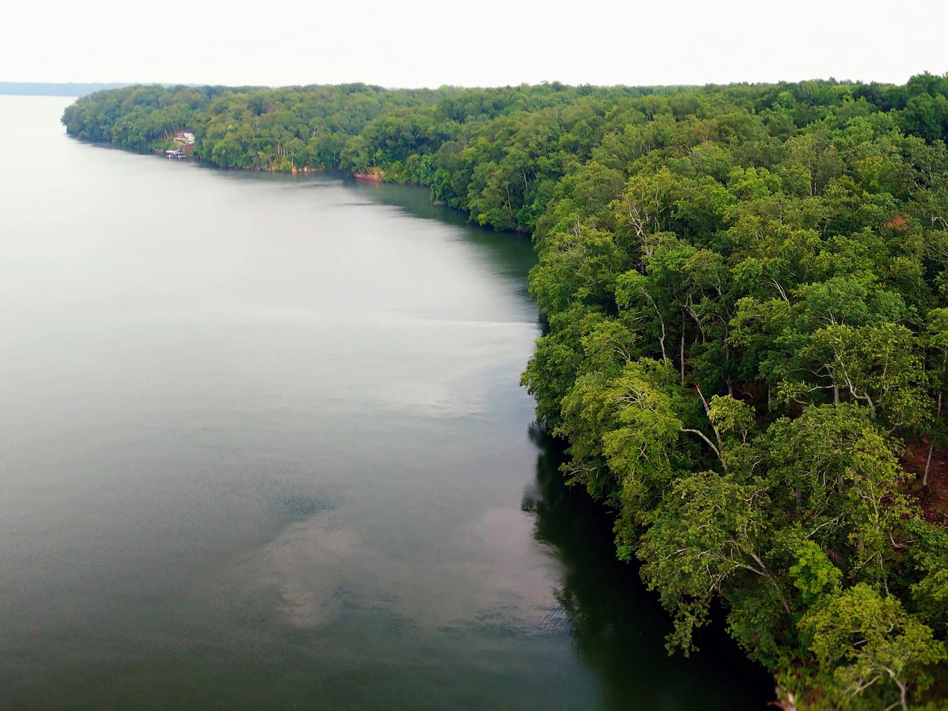 Lake Ridge on Wilson Lake, Muscle Shoals, AL | ©American Land Holdings